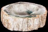 Polished Madagascar Petrified Wood Dish - #53253-1